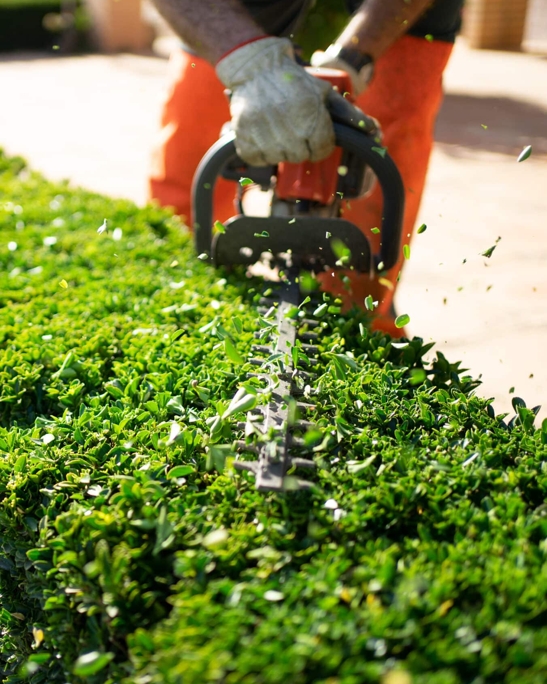 Landscape Services & Maintenance 1 Landscape Services & Maintenance