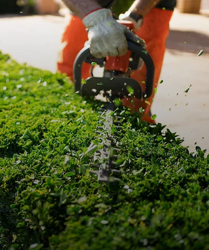 Landscape Services & Maintenance 1 Landscape Services & Maintenance