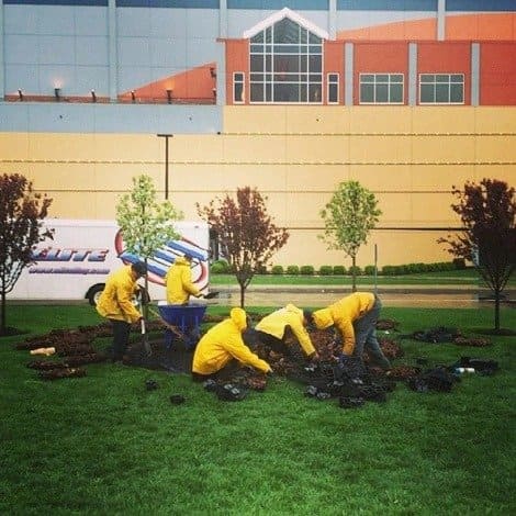 Property Maintenance 3 Elite 6