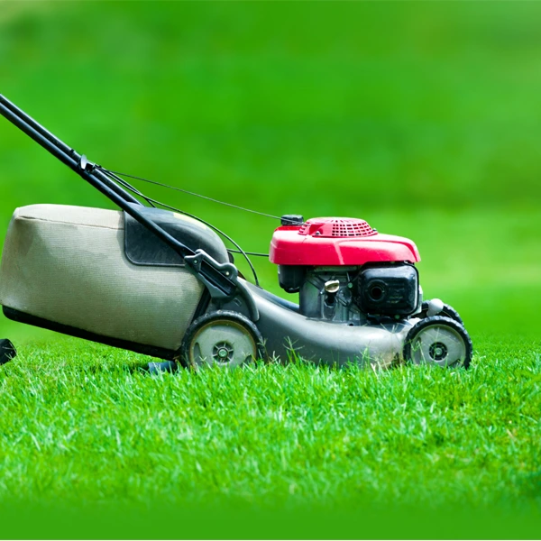 Artboard 1 copy 6 1 1