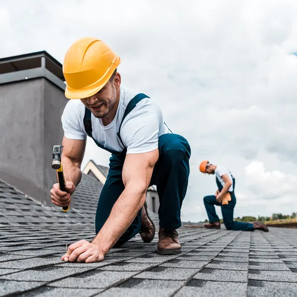 Property Maintenance