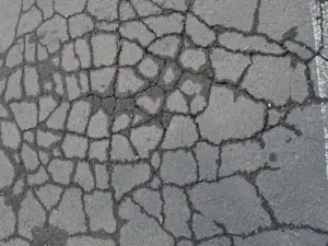 Types of Asphalt Damages 1 Alligator Asphalt Cracking